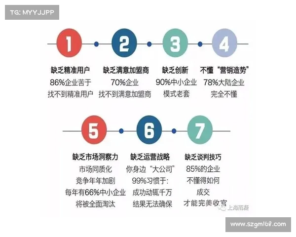 核心战术驱动下的团队协作与战略执行模式探讨