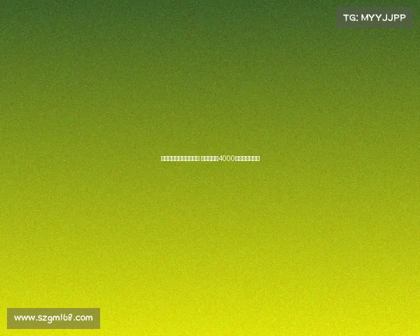 纽卡为维萨提出更高报价 小蜜蜂要价4000万镑成交易核心